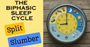 The Biphasic Sleep Cycle